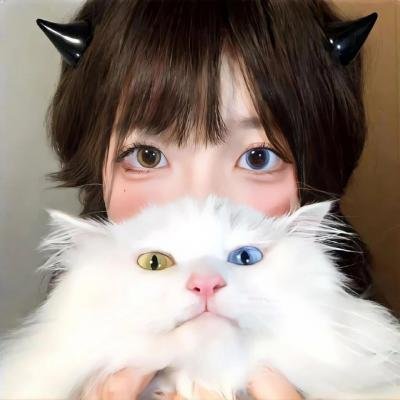 小猪进城