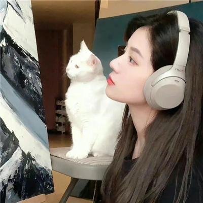 风尘血泪