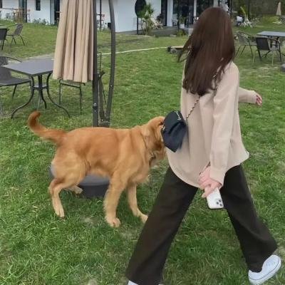 多情医生换娇妻